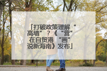 打破政策理解“高墙”？《“营”在自贸港 “画”说新海南》发布