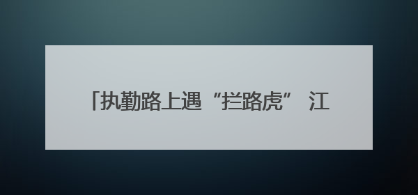 执勤路上遇“拦路虎” 江夏交警暖心救助化险为夷