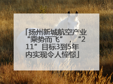 扬州新城航空产业“乘势而飞”，“211”目标3到5年内实现令人憧憬