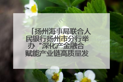 扬州海事局联合人民银行扬州市分行举办“深化产金融合 赋能产业链高质量发展”共建联学活动