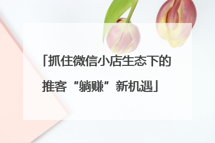 抓住微信小店生态下的推客“躺赚”新机遇