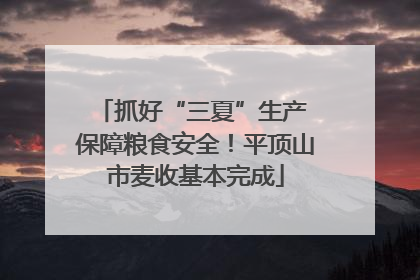 抓好“三夏”生产 保障粮食安全！平顶山市麦收基本完成