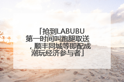 抢到LABUBU第一时间叫跑腿取送，顺丰同城等即配成潮玩经济参与者
