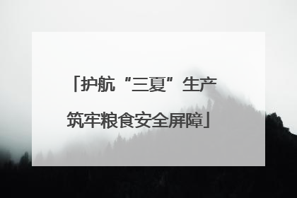 护航“三夏”生产 筑牢粮食安全屏障