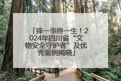 择一事终一生！2024年四川省“文物安全守护者”及优秀案例揭晓