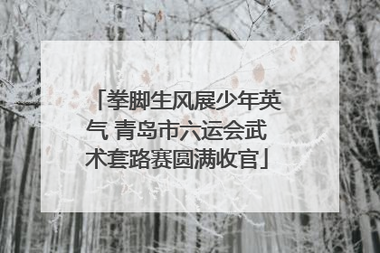 拳脚生风展少年英气 青岛市六运会武术套路赛圆满收官