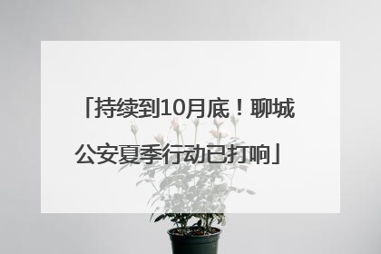 持续到10月底！聊城公安夏季行动已打响