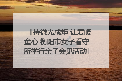 持微光成炬 让爱暖童心 衡阳市女子看守所举行亲子会见活动