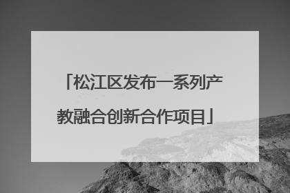 松江区发布一系列产教融合创新合作项目