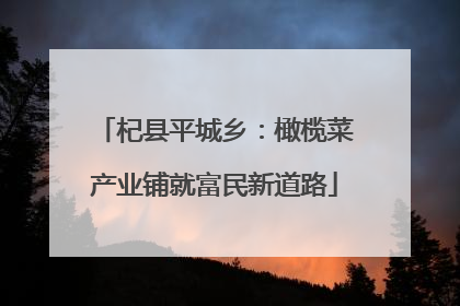 杞县平城乡：橄榄菜产业铺就富民新道路