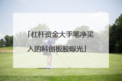 杠杆资金大手笔净买入的科创板股曝光