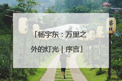 杨宇东：万里之外的灯光｜序言