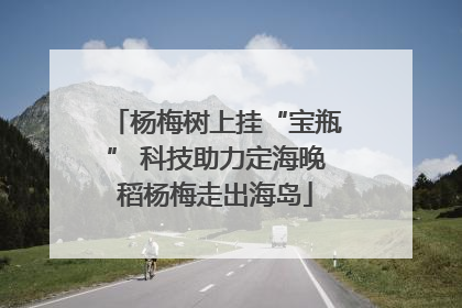 杨梅树上挂“宝瓶” 科技助力定海晚稻杨梅走出海岛