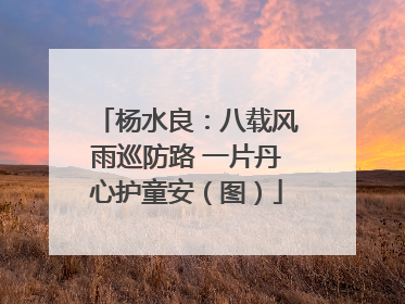 杨水良：八载风雨巡防路 一片丹心护童安（图）