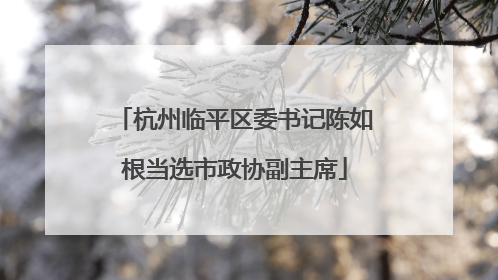杭州临平区委书记陈如根当选市政协副主席