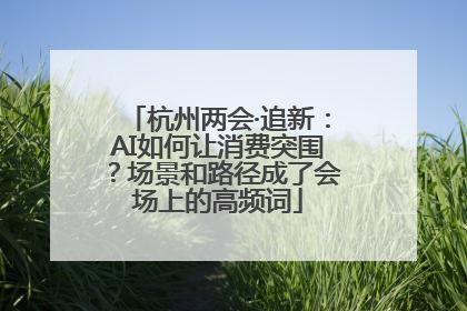 杭州两会·追新：AI如何让消费突围？场景和路径成了会场上的高频词