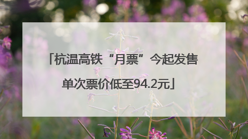 杭温高铁“月票”今起发售 单次票价低至94.2元