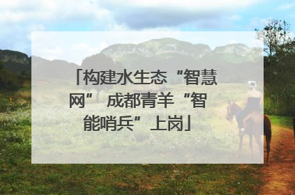 构建水生态“智慧网” 成都青羊“智能哨兵”上岗