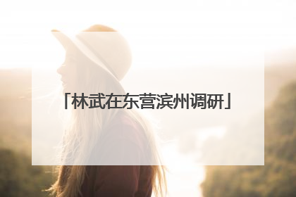 林武在东营滨州调研