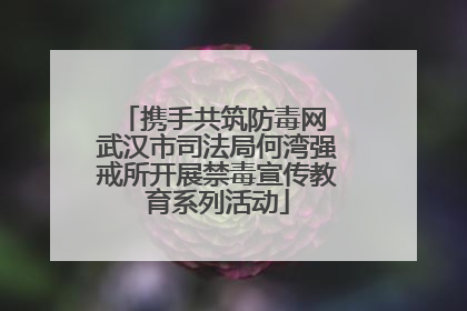 携手共筑防毒网 武汉市司法局何湾强戒所开展禁毒宣传教育系列活动