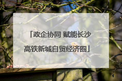 政企协同 赋能长沙高铁新城自贸经济圈