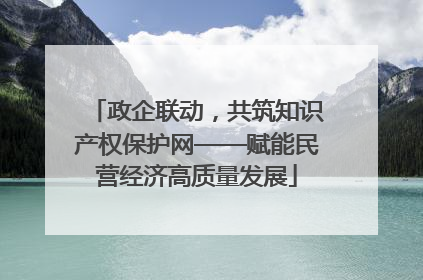 政企联动，共筑知识产权保护网——赋能民营经济高质量发展