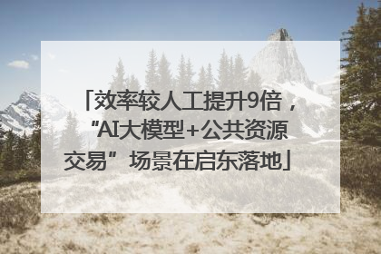 效率较人工提升9倍，“AI大模型+公共资源交易”场景在启东落地