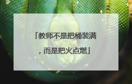 教师不是把桶装满，而是把火点燃