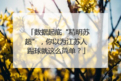 数据起底“精明苏超”，你以为江苏人踢球就这么简单？