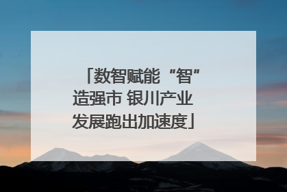 数智赋能“智”造强市 银川产业发展跑出加速度