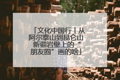 文化中国行丨从阿尔泰山到昆仑山 新疆岩壁上的“朋友圈”画的啥