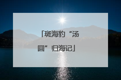 斑海豹“汤圆”归海记