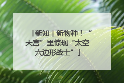 新知｜新物种！“天宫”里惊现“太空六边形战士”