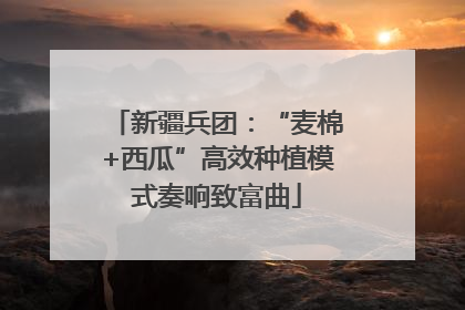新疆兵团：“麦棉+西瓜”高效种植模式奏响致富曲