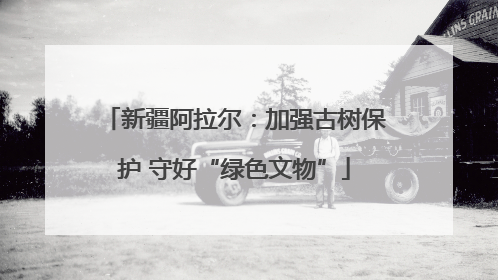 新疆阿拉尔：加强古树保护 守好“绿色文物”