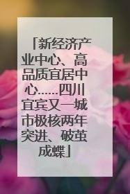 新经济产业中心、高品质宜居中心……四川宜宾又一城市极核两年突进、破茧成蝶