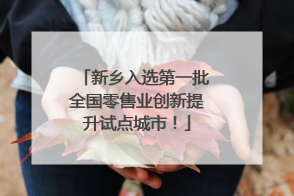 新乡入选第一批全国零售业创新提升试点城市！