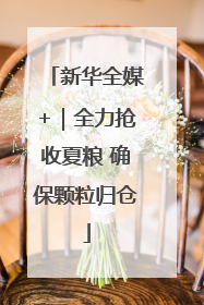 新华全媒+｜全力抢收夏粮 确保颗粒归仓