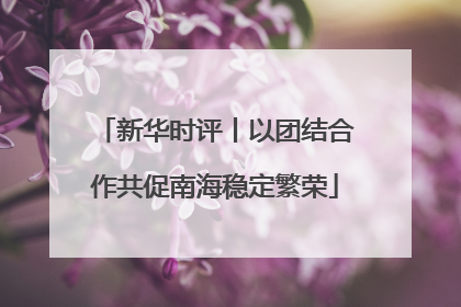 新华时评丨以团结合作共促南海稳定繁荣
