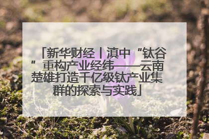新华财经丨滇中“钛谷”重构产业经纬——云南楚雄打造千亿级钛产业集群的探索与实践