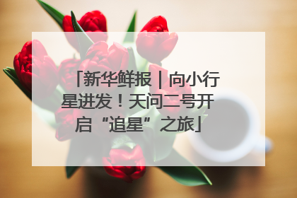 新华鲜报｜向小行星进发！天问二号开启“追星”之旅