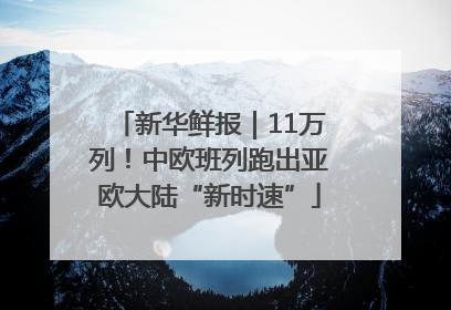 新华鲜报｜11万列！中欧班列跑出亚欧大陆“新时速”