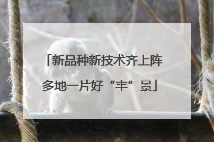 新品种新技术齐上阵 多地一片好“丰”景