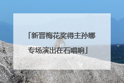 新晋梅花奖得主孙娜专场演出在石唱响
