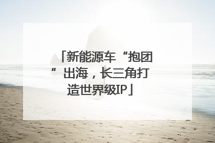 新能源车“抱团”出海，长三角打造世界级IP