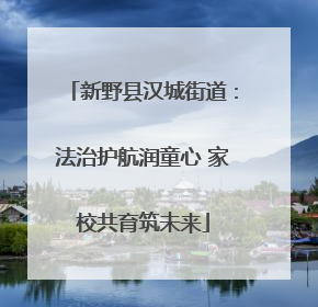 新野县汉城街道：法治护航润童心 家校共育筑未来