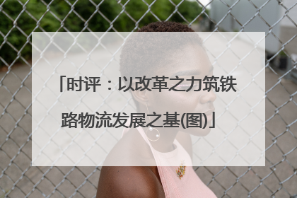 时评：以改革之力筑铁路物流发展之基(图)