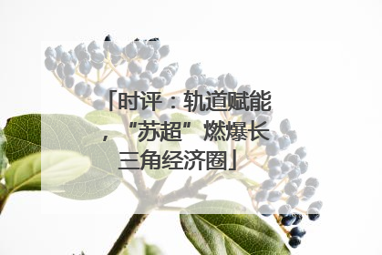 时评：轨道赋能，“苏超”燃爆长三角经济圈