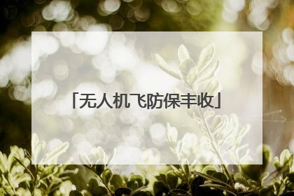 无人机飞防保丰收