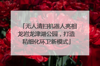 无人清扫机器人亮相龙岩龙津湖公园，打造精细化环卫新模式